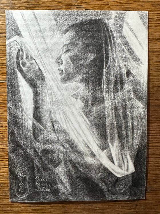 Sheer Beauty - 28-11-25