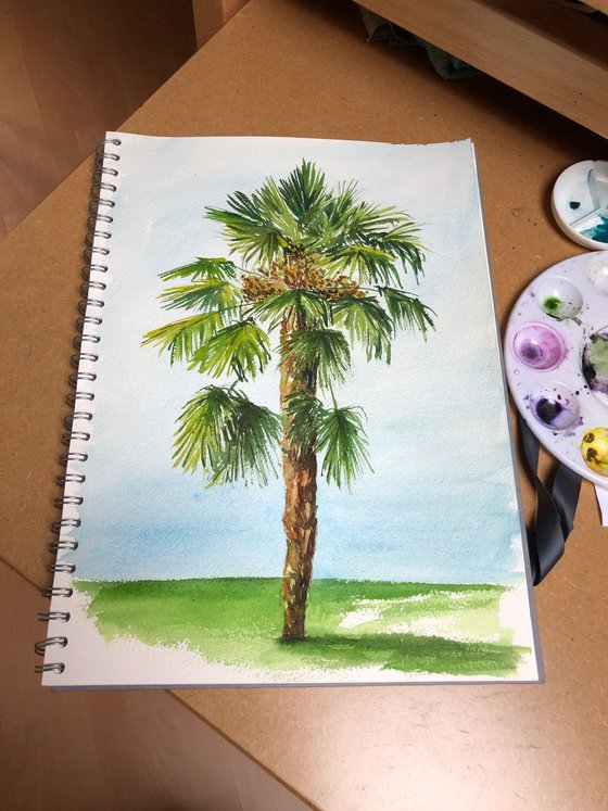 Palm tree - plein air