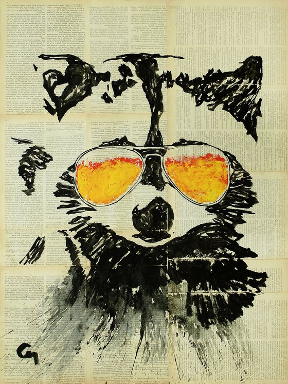 Raccoon.