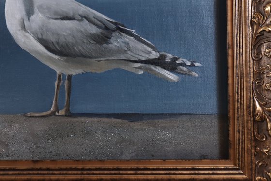 Lockdown Morning Chorus Series - By the Sea, Seagull Painting, Bird Art by Alex Jabore