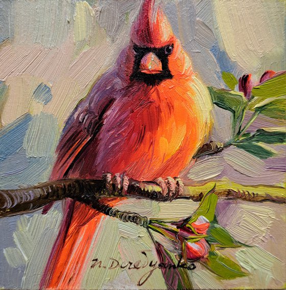 Cardinal red bird oil painting original 4x4 framed artwork small bird