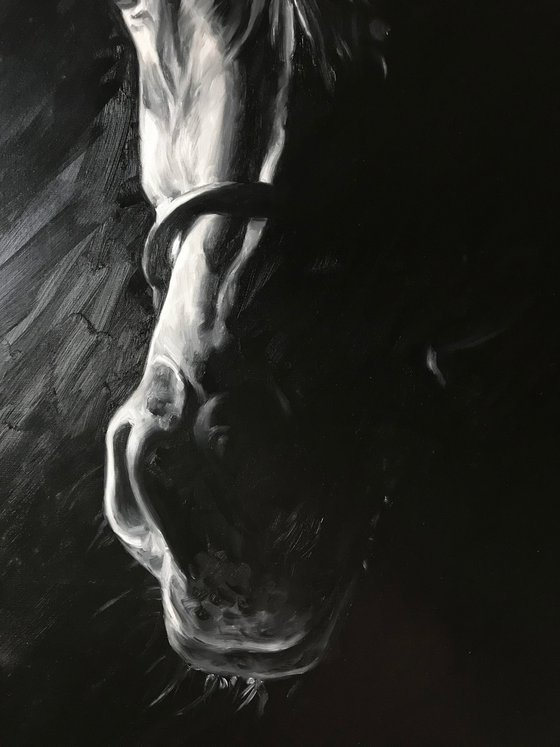 A huge oil painting with a horse "Mystery" 110 * 220 cm