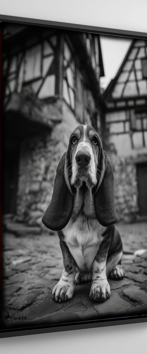Dog in old village B0805E by Ksavera