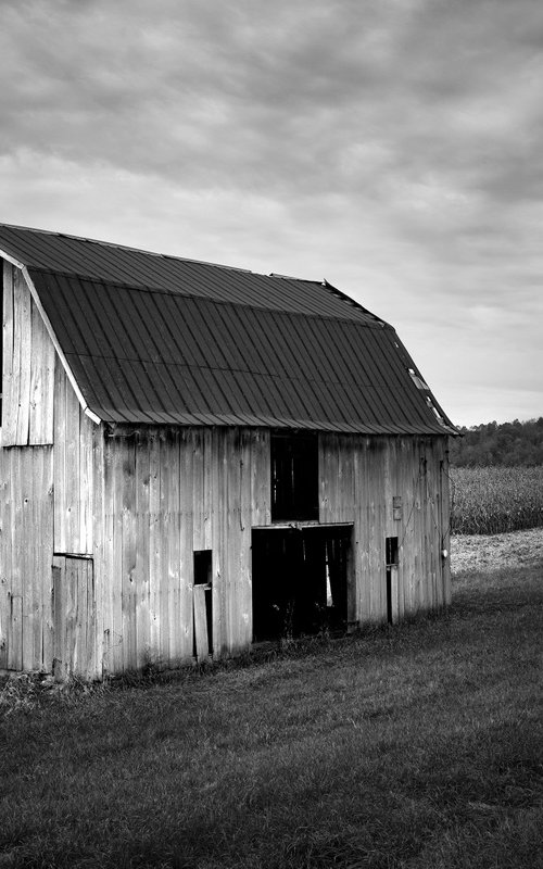 Blue Highways (#218) by Robert Tolchin