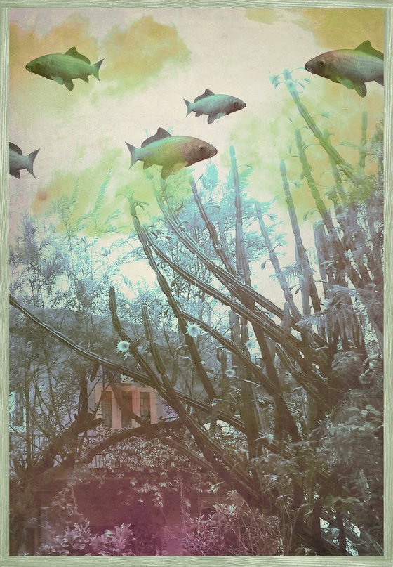 untitled - 31B