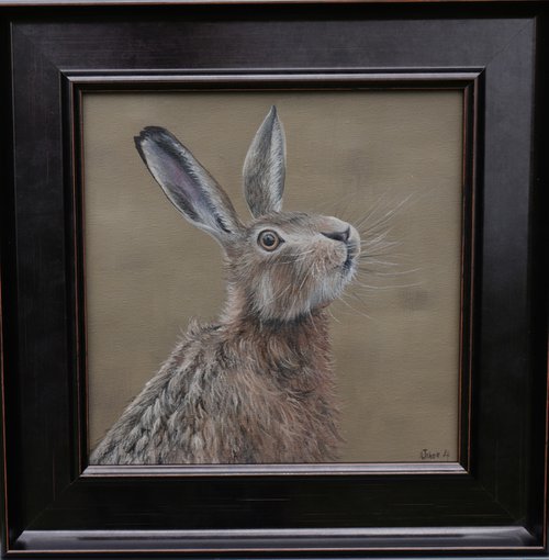 Portrait of a Hare III by Alex Jabore