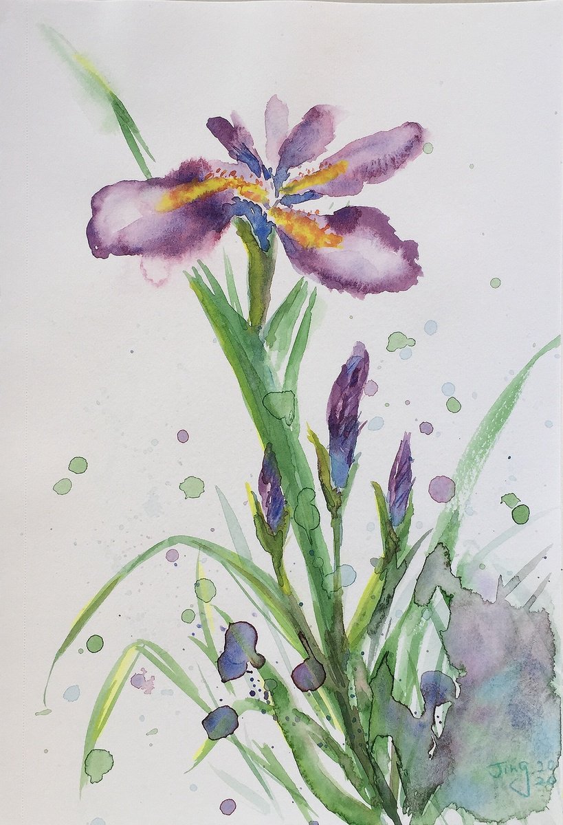 Purple Irises #2 by Jing Tian