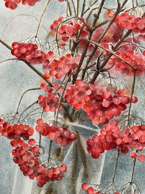 Red viburnum, original watercolour