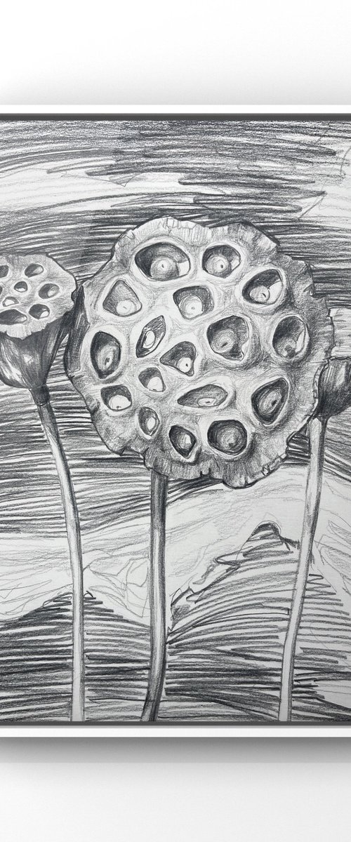 Lotus pods by Guzel Min
