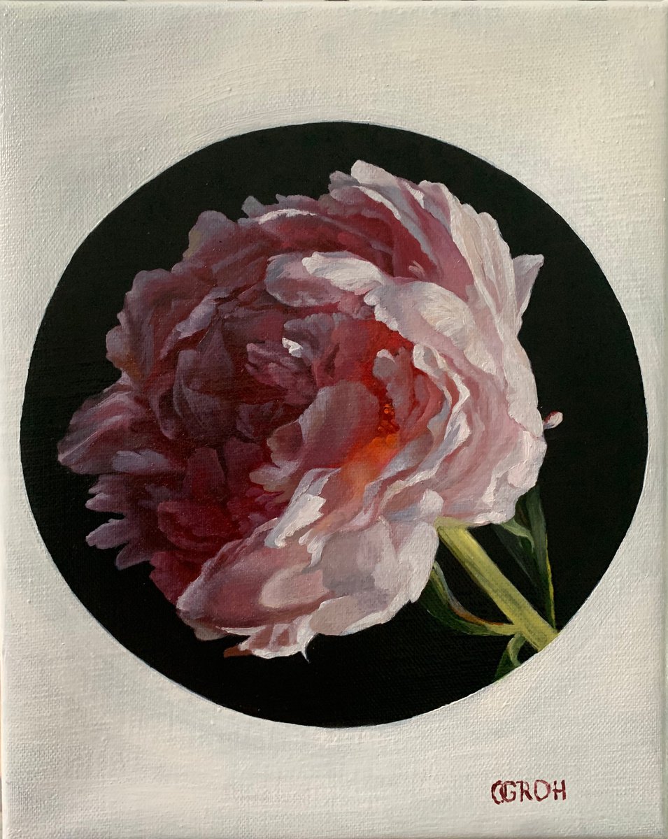 Peony by Olga Groh