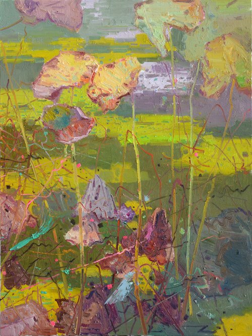 Waterlilies in pond 196 by jianzhe chon