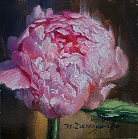 Small oil painting original framed art pink peony flower 4x4 in frame