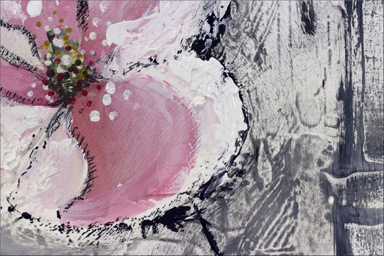 Papaver Dreams