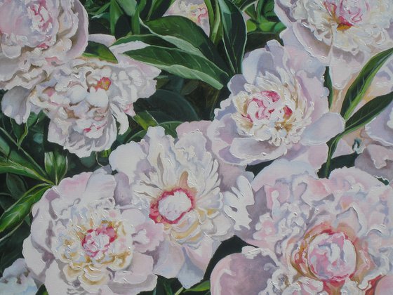 Sunlit Peony Summer Painting