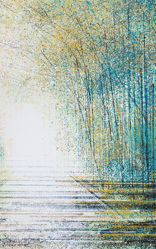 Forest Path In Early Morning Light by Marc Todd