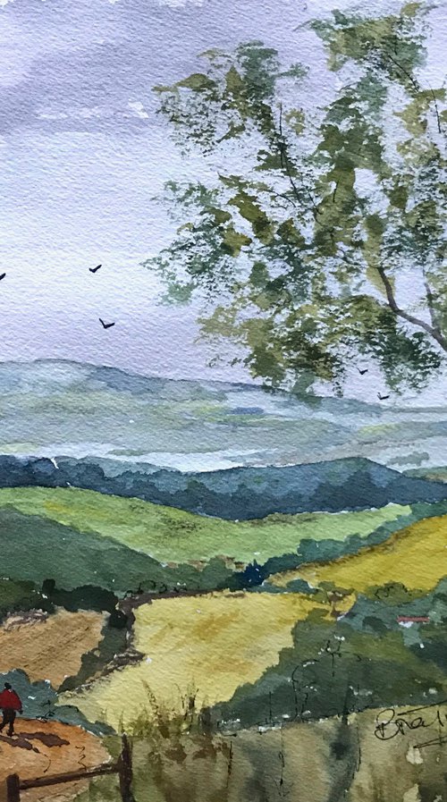 Walking on the North Downs by Brian Tucker