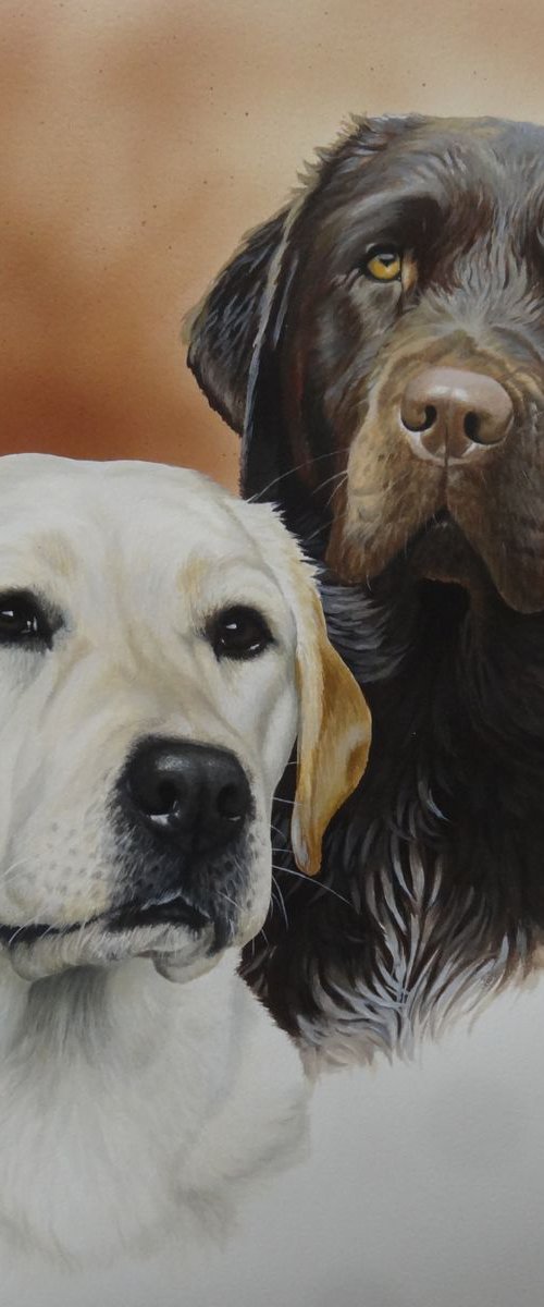 Bonnie and Ellie by Julian Wheat
