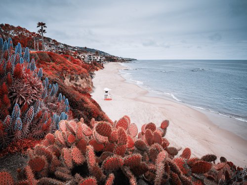 LAGUNA BEACH I by Harv Greenberg