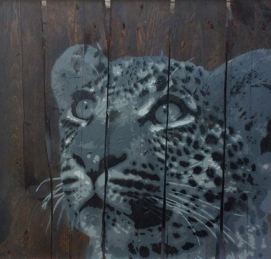 Leopard on timber