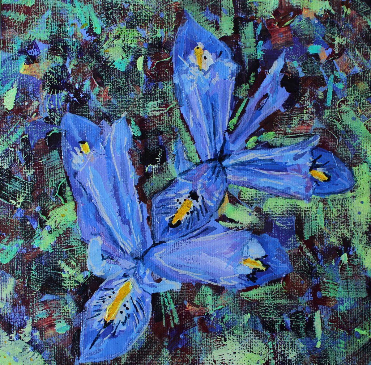 Irises by Julia Preston