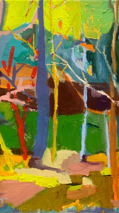 Long Looks - First Color of Fall 2023 by Steven Page Prewitt