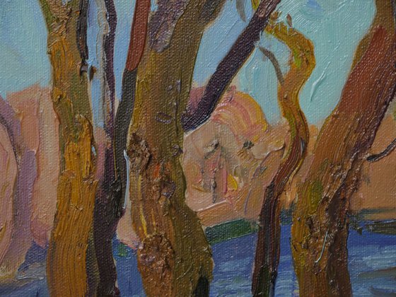 A bay on the Desna River