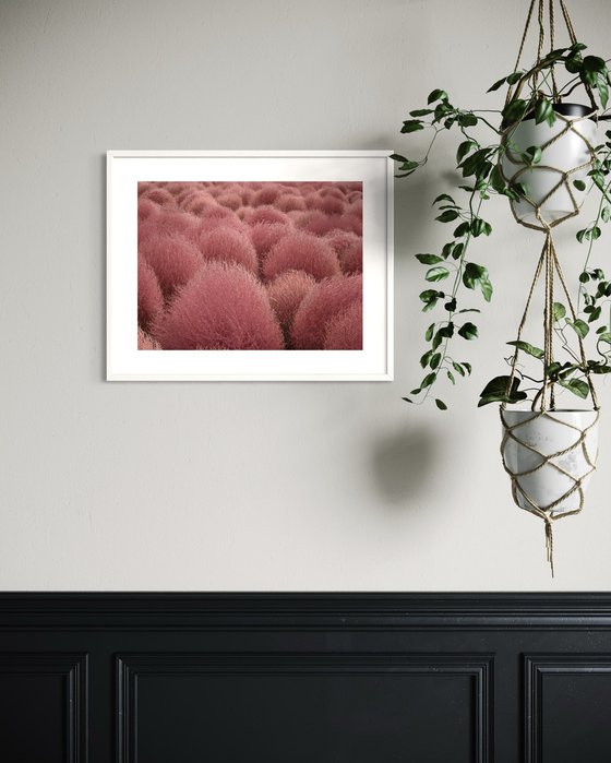 RED TUFTS