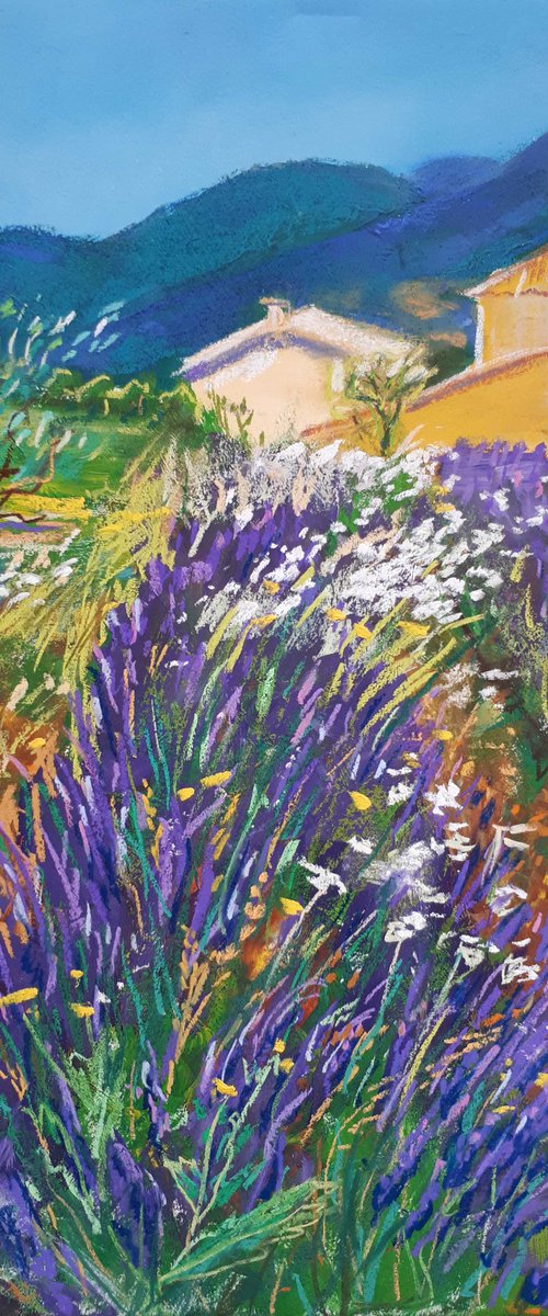 Happy farm of lavender I /  ORIGINAL PAINTING by Salana Art Gallery