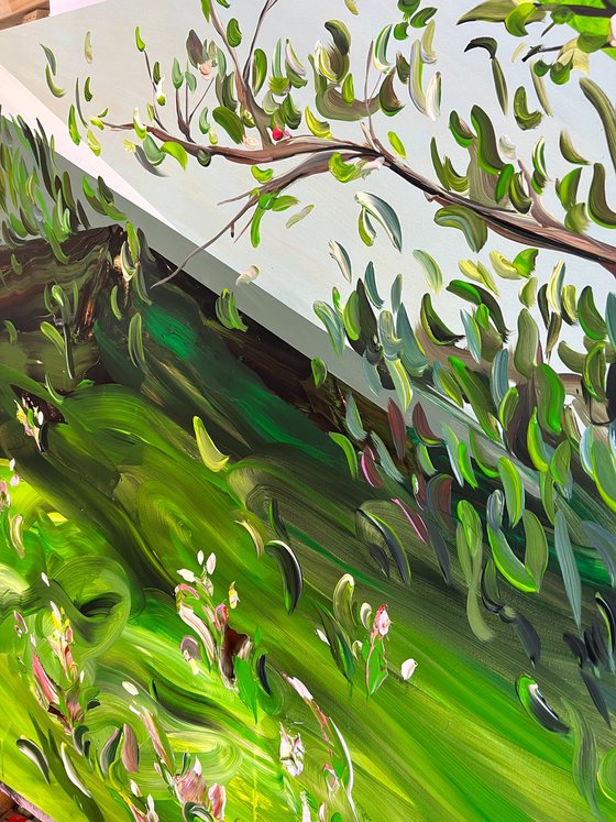 Where light takes root