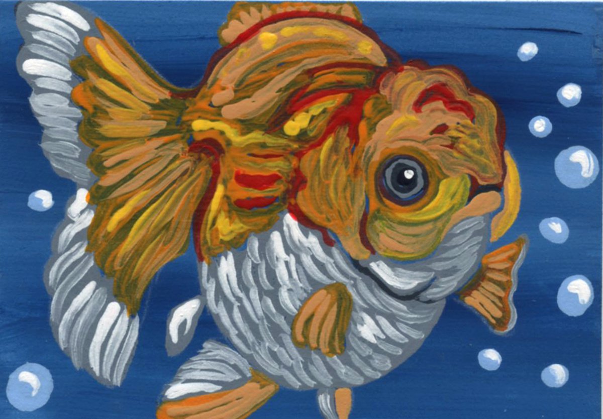 ACEO ATC Original Miniature Painting Oranda Goldfish Pet Art-Carla Smale by carla smale