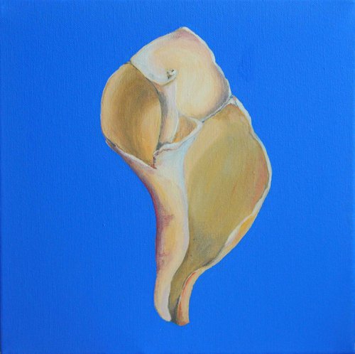 Whelk Shell #2 - Square Minimal Contemporary Painting Inspired by Georgia O'Keeffe by Eleanore Ditchburn