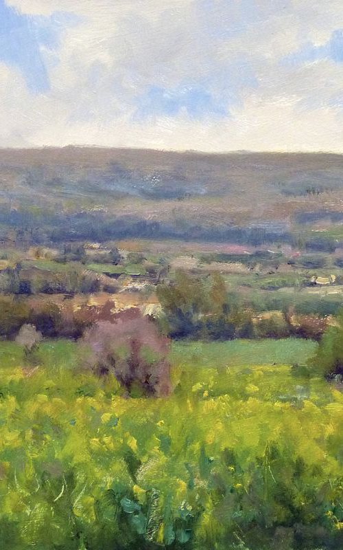 Colza Field by Pascal Giroud