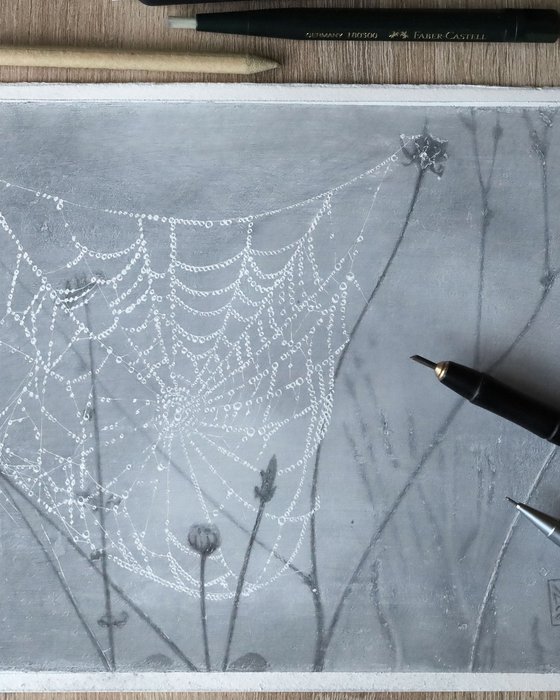 Spiderweb: Draped Lace