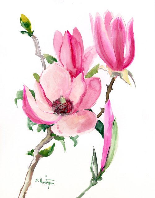 Pink Magnolia Flowers by Suren Nersisyan