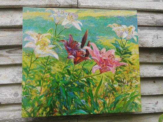 Sunny siesta. Lilies.