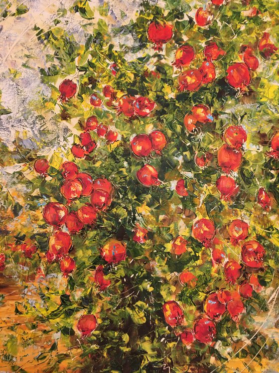 Pomegranate Tree