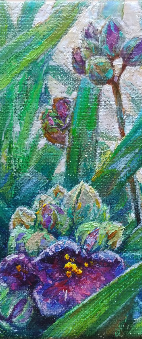 Among the herbs. by Svitlana Gunchenko