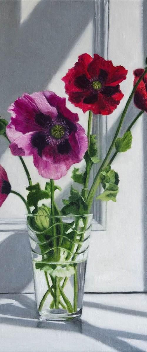 Red and Pink Poppies by Andrew McNeile Jones