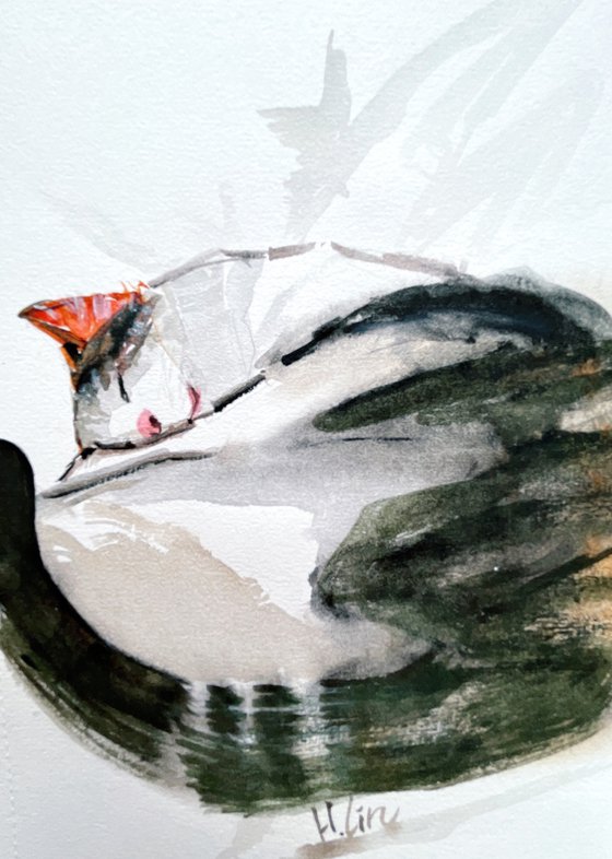 Napping On My Favourite Bed - Cadbury the cat series By HSIN LIN
