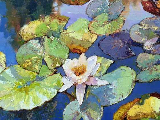 Water Lilies