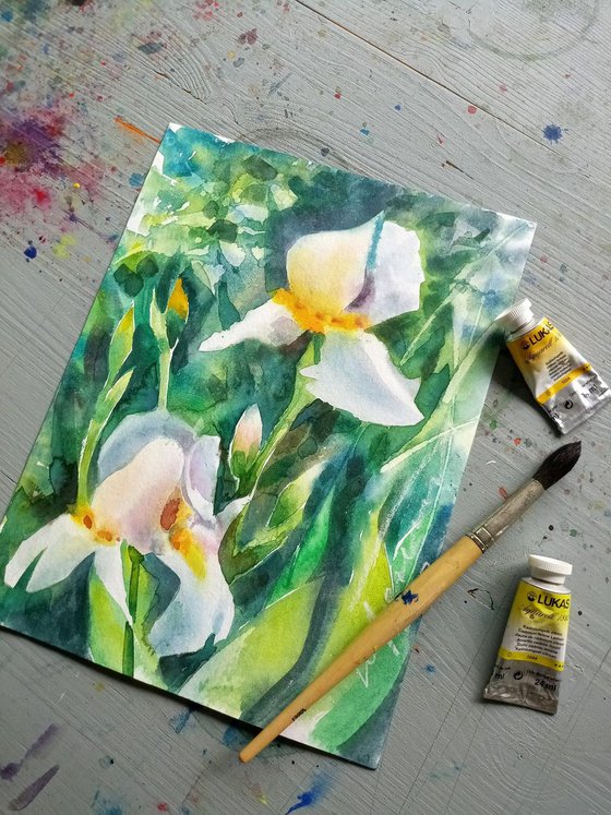 White Iris in Garden Loose Impressionistic Watercolor Painting