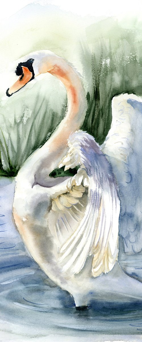 Swan #2 by Olga Tchefranov (Shefranov)