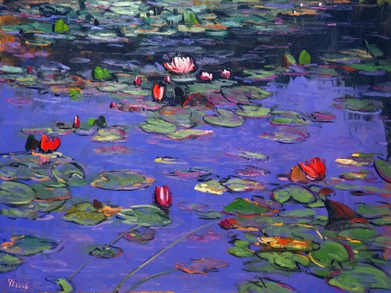 Water Lilies