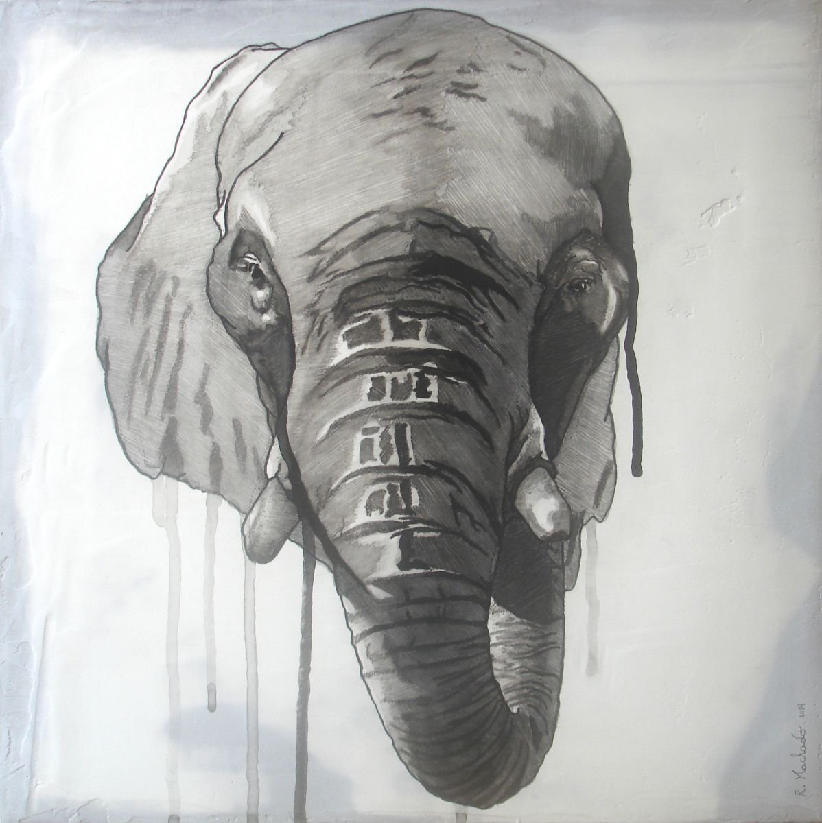 Elephant by Ricardo Machado