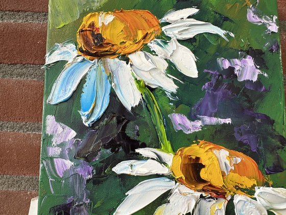 Two daisies