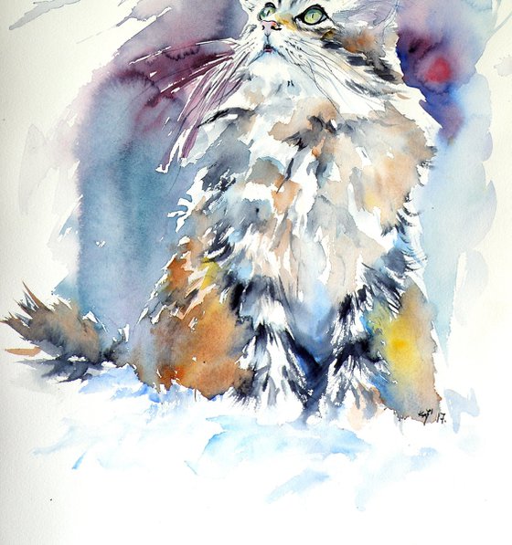 Cat in the snow