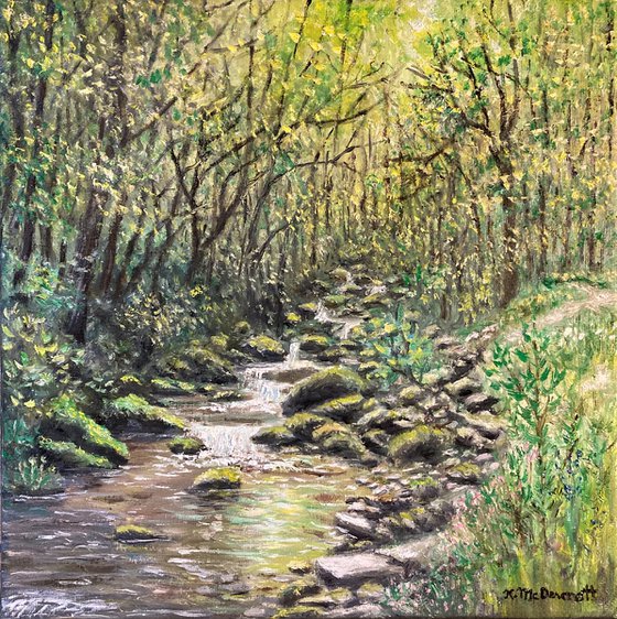 CREEK NEAR OLD FORT NC   (SOLD)