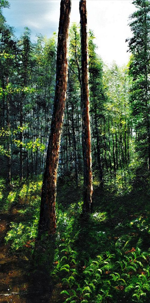 Light Through The Forest by Hazel Thomson