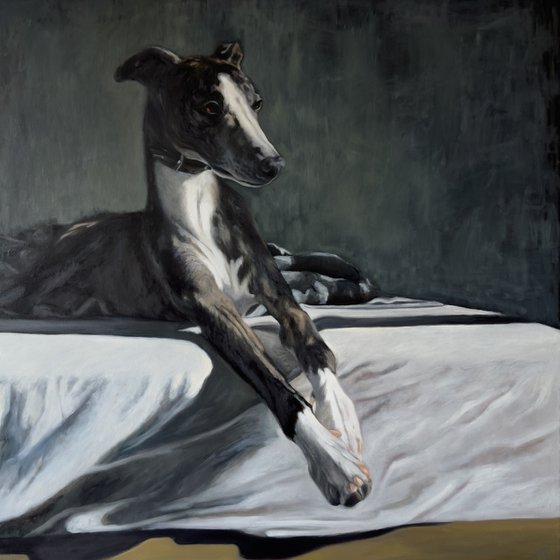 The Whippet