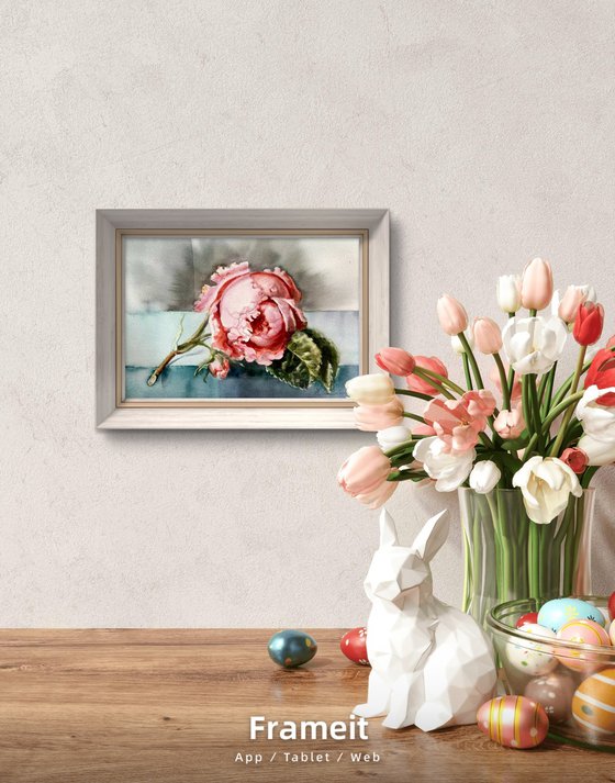 Watercolor pastel pink  Rose queen